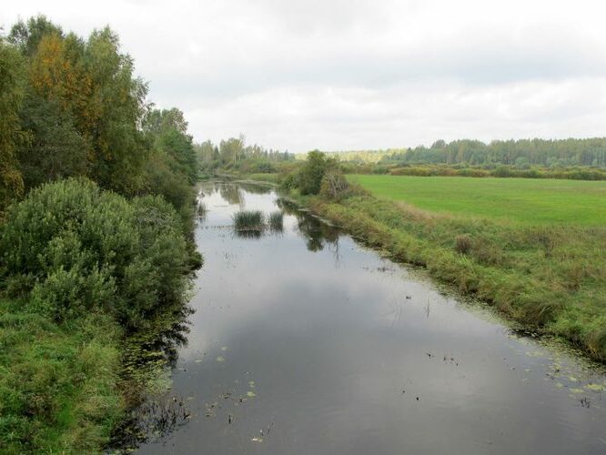 Maakond: Viljandimaa Veekogu nimi: Navesti jõgi Pildistamise aeg: 14. september 2010 Pildistaja: H. Timm Pildistamise koht: Navesti Asimuut: