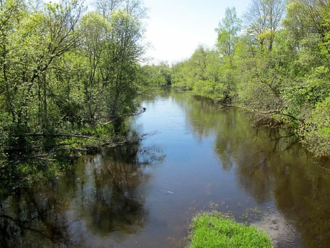 Maakond: Viljandimaa Veekogu nimi: Navesti jõgi Pildistamise aeg: 19. mai 2012 Pildistaja: H. Timm Pildistamise koht: Jälevere Asimuut: