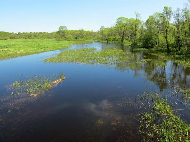 Maakond: Viljandimaa Veekogu nimi: Navesti jõgi Pildistamise aeg: 19. mai 2012 Pildistaja: H. Timm Pildistamise koht: Venevere Asimuut: