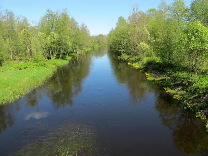 Maakond: Viljandimaa Veekogu nimi: Navesti jõgi Pildistamise aeg: 19. mai 2012 Pildistaja: H. Timm Pildistamise koht: Jälevere Asimuut: