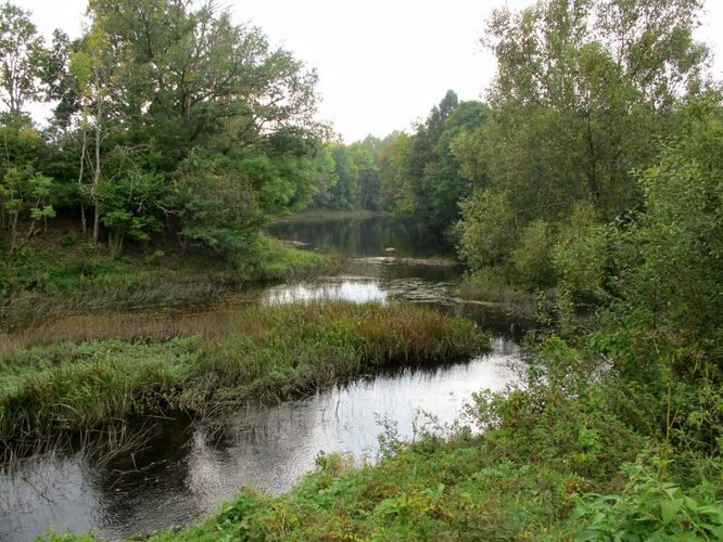 Maakond: Viljandimaa Veekogu nimi: Navesti jõgi ja Halliste jõgi Pildistamise aeg: 14. september 2010 Pildistaja: H. Timm Pildistamise koht: Aesoo Asimuut: