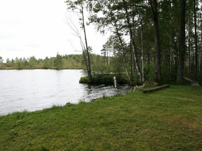 Maakond: Viljandimaa Veekogu nimi: Nigula järv Pildistamise aeg: august 2007 Pildistaja: H. Timm Pildistamise koht: teadmata Asimuut: