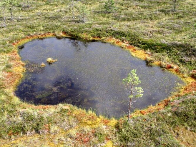 Maakond: Viljandimaa Veekogu nimi: Nigula raba Pildistamise aeg: august 2007 Pildistaja: H. Timm Pildistamise koht: teadmata Asimuut: