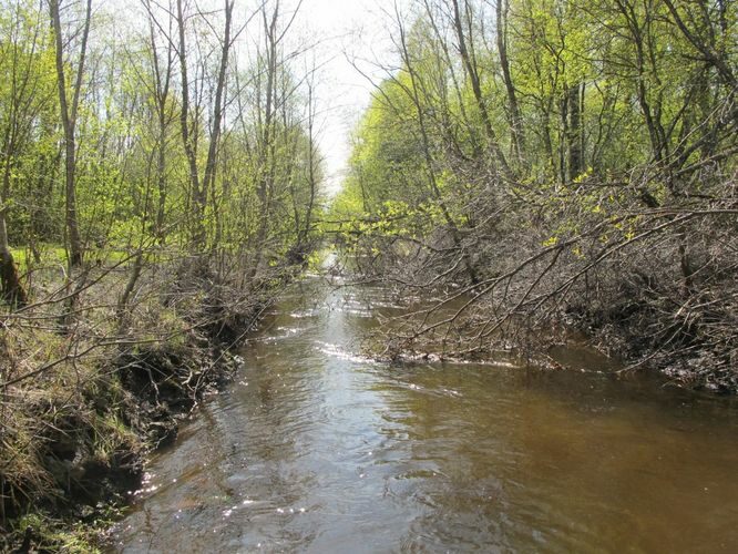 Maakond: Viljandimaa Veekogu nimi: Nõmavere pkr. Pildistamise aeg: 7. mai 2011 Pildistaja: H. Timm Pildistamise koht: alamjooks Asimuut: