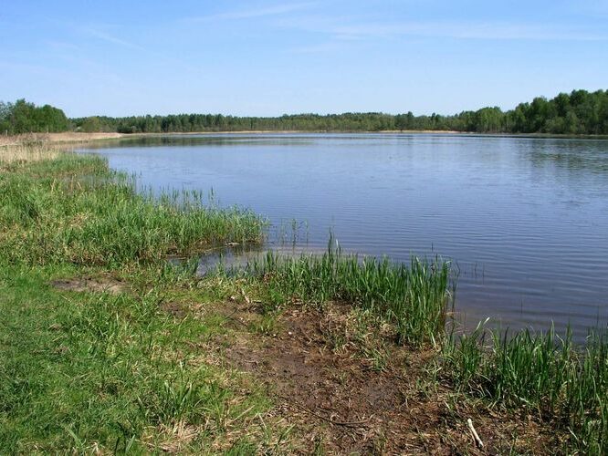 Maakond: Võrumaa Veekogu nimi: Noodasjärv Pildistamise aeg: 21. mai 2007 Pildistaja: H. Timm Pildistamise koht: teadmata Asimuut: