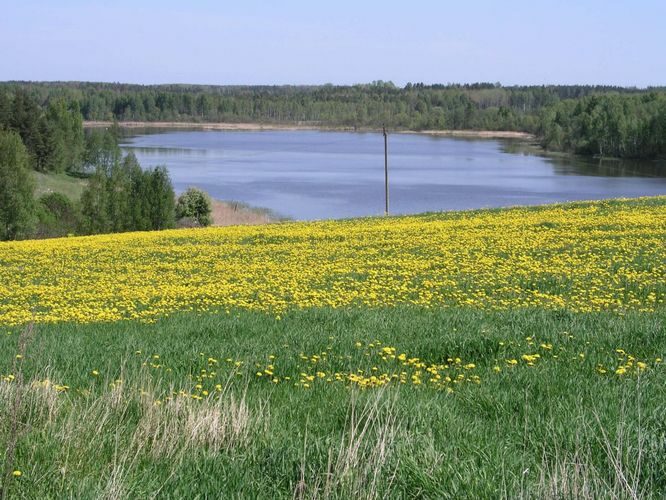 Maakond: Võrumaa Veekogu nimi: Noodasjärv Pildistamise aeg: 21. mai 2007 Pildistaja: H. Timm Pildistamise koht: SW mäe otsast Asimuut: