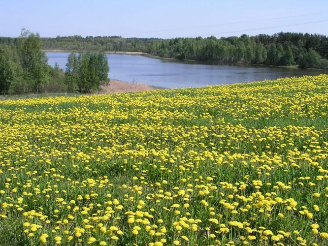 Maakond: Võrumaa Veekogu nimi: Noodasjärv Pildistamise aeg: 21. mai 2007 Pildistaja: H. Timm Pildistamise koht: SW mäe otsast Asimuut: