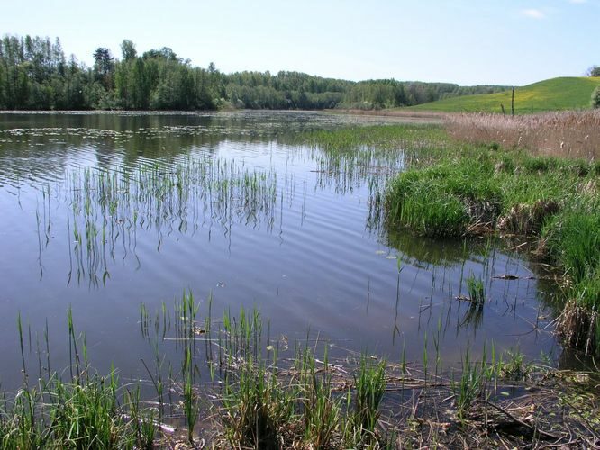 Maakond: Võrumaa Veekogu nimi: Noodasjärv Pildistamise aeg: 21. mai 2007 Pildistaja: H. Timm Pildistamise koht: teadmata Asimuut: