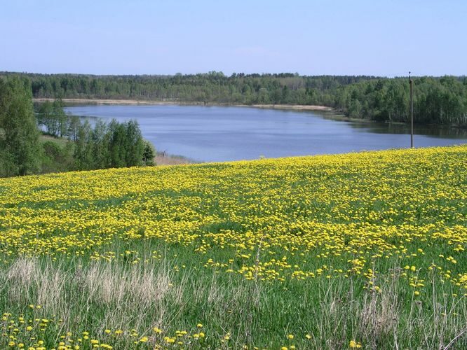 Maakond: Võrumaa Veekogu nimi: Noodasjärv Pildistamise aeg: 21. mai 2007 Pildistaja: H. Timm Pildistamise koht: SW mäe otsast Asimuut: