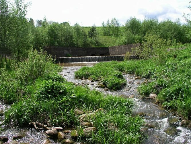 Maakond: Võrumaa Veekogu nimi: Obinitsa oja Pildistamise aeg: 24. mai 2009 Pildistaja: H. Timm Pildistamise koht: allpool paisu Asimuut: