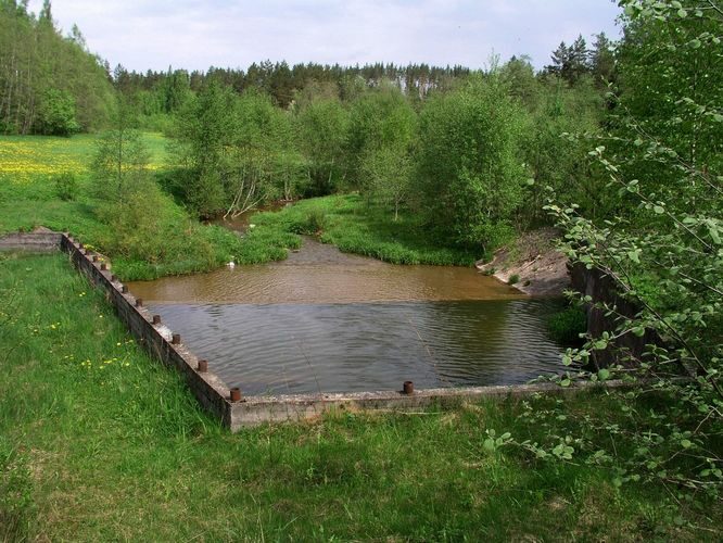 Maakond: Võrumaa Veekogu nimi: Obinitsa oja Pildistamise aeg: 24. mai 2009 Pildistaja: H. Timm Pildistamise koht: allpool paisu Asimuut: