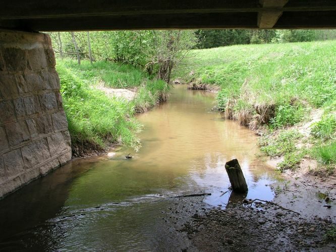 Maakond: Võrumaa Veekogu nimi: Obinitsa oja Pildistamise aeg: 24. mai 2009 Pildistaja: H. Timm Pildistamise koht: Rokina Asimuut: