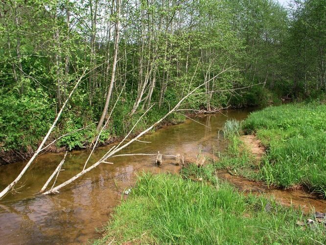 Maakond: Võrumaa Veekogu nimi: Obinitsa oja Pildistamise aeg: 24. mai 2009 Pildistaja: H. Timm Pildistamise koht: allpool paisu Asimuut: