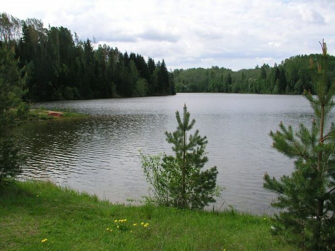 Maakond: Võrumaa Veekogu nimi: Obinitsa oja Pildistamise aeg: 24. mai 2009 Pildistaja: H. Timm Pildistamise koht: paisjärv Asimuut: