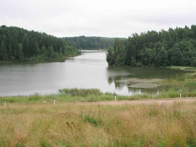 Maakond: Võrumaa Veekogu nimi: Obinitsa veehoidla Pildistamise aeg: august 2004 Pildistaja: H. Timm Pildistamise koht: teadmata Asimuut: