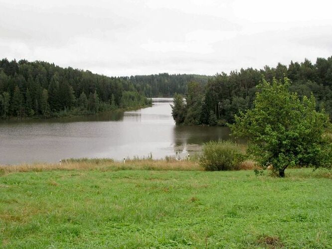 Maakond: Võrumaa Veekogu nimi: Obinitsa veehoidla Pildistamise aeg: august 2004 Pildistaja: H. Timm Pildistamise koht: teadmata Asimuut: