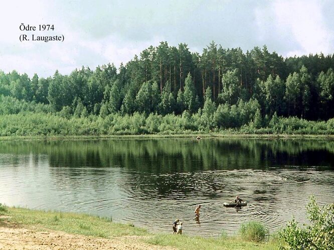 Maakond: Valgamaa Veekogu nimi: Õdre järv Pildistamise aeg: 1974 Pildistaja: R. Laugaste Pildistamise koht: teadmata Asimuut: