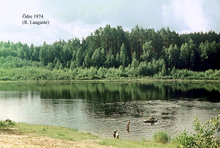 Maakond: Valgamaa Veekogu nimi: Õdre järv Pildistamise aeg: 1974 Pildistaja: R. Laugaste Pildistamise koht: teadmata Asimuut: