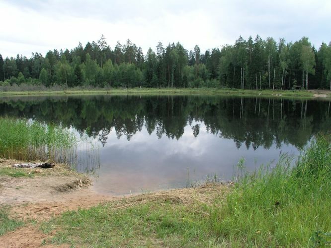 Maakond: Valgamaa Veekogu nimi: Õdre järv Pildistamise aeg: 4. august 2006 Pildistaja: H. Timm Pildistamise koht: teadmata Asimuut: