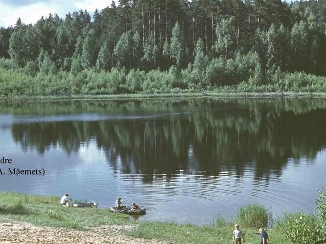 Maakond: Valgamaa Veekogu nimi: Õdre järv Pildistamise aeg: teadmata Pildistaja: A. Mäemets Pildistamise koht: teadmata Asimuut: