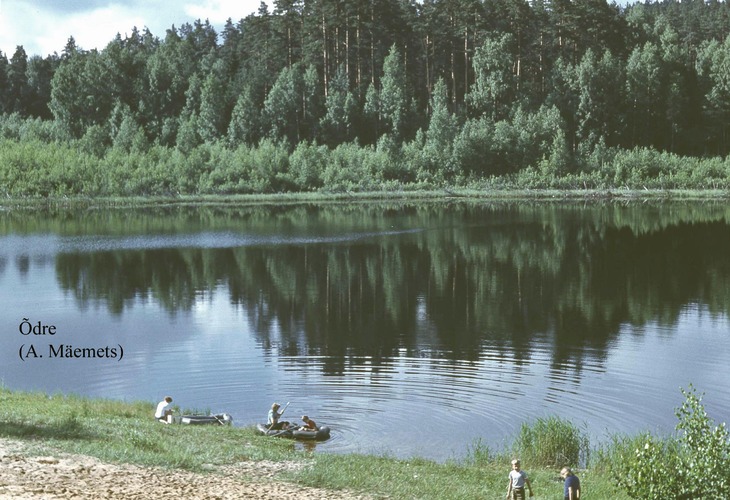 Maakond: Valgamaa Veekogu nimi: Õdre järv Pildistamise aeg: teadmata Pildistaja: A. Mäemets Pildistamise koht: teadmata Asimuut: