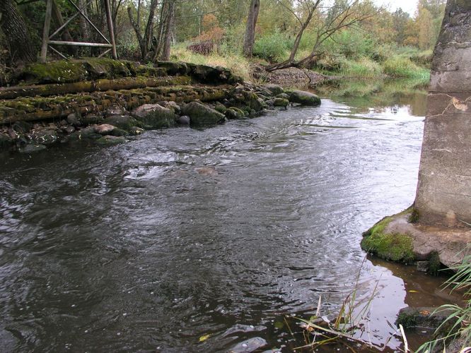 Maakond: Viljandimaa Veekogu nimi: Õhne jõgi Pildistamise aeg: 1. oktoober 2003 Pildistaja: H. Timm Pildistamise koht: Suislepa Asimuut: