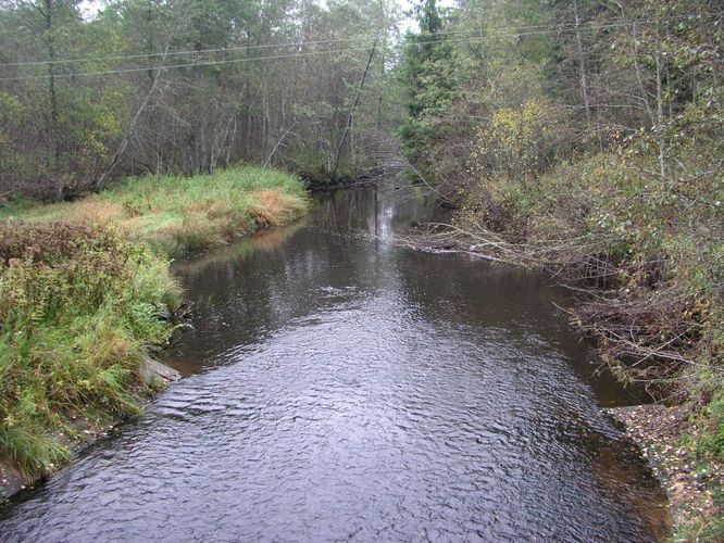 Maakond: Viljandimaa Veekogu nimi: Õhne jõgi Pildistamise aeg: 1. oktoober 2003 Pildistaja: H. Timm Pildistamise koht: Holdre Asimuut: