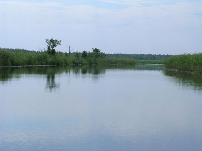 Maakond: Viljandimaa Veekogu nimi: Õhne jõgi Pildistamise aeg: august 2005 Pildistaja: H. Timm Pildistamise koht: teadmata Asimuut: