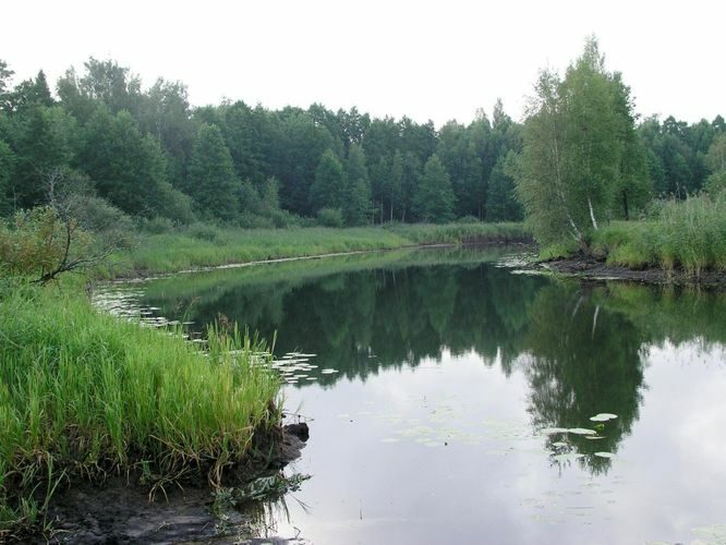 Maakond: Viljandimaa Veekogu nimi: Õhne jõgi Pildistamise aeg: 30. juuli 2006 Pildistaja: H. Timm Pildistamise koht: alamjooks Asimuut: