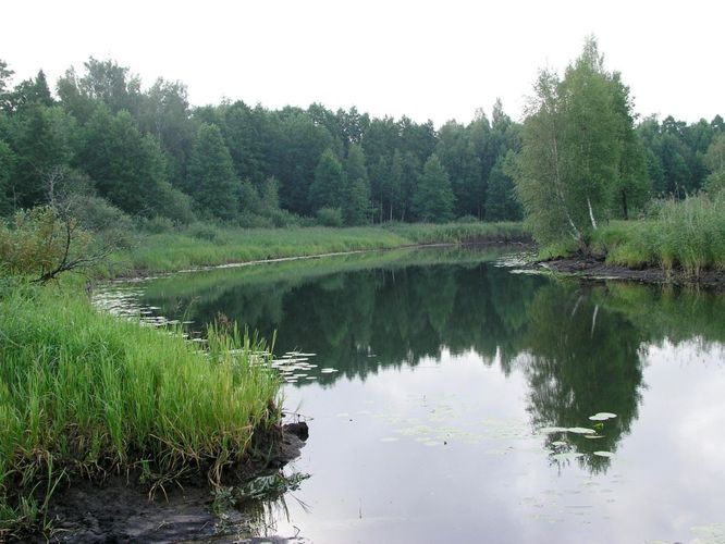 Maakond: Viljandimaa Veekogu nimi: Õhne jõgi Pildistamise aeg: 30. juuli 2006 Pildistaja: H. Timm Pildistamise koht: alamjooks Asimuut: