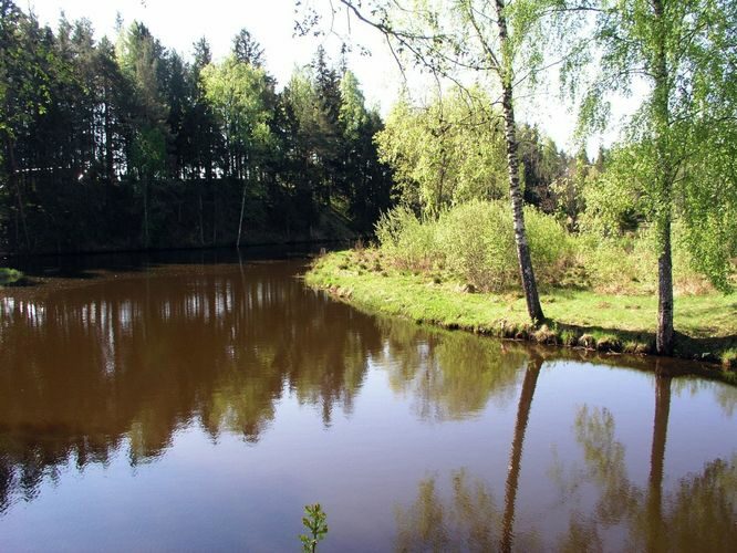 Maakond: Valgamaa Veekogu nimi: Õhne jõgi Pildistamise aeg: 16. mai 2006 Pildistaja: H. Timm Pildistamise koht: Tõrva Asimuut: