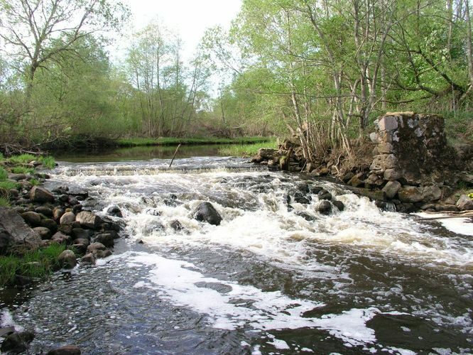 Maakond: Valgamaa Veekogu nimi: Õhne jõgi Pildistamise aeg: 16. mai 2006 Pildistaja: H. Timm Pildistamise koht: Leebiku Asimuut: