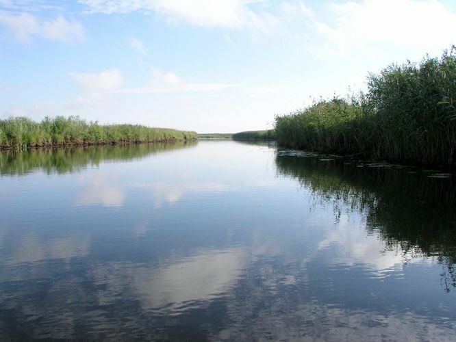 Maakond: Viljandimaa Veekogu nimi: Õhne jõgi Pildistamise aeg: 30. juuli 2006 Pildistaja: H. Timm Pildistamise koht: alamjooks Asimuut: