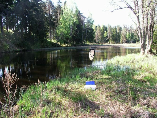 Maakond: Valgamaa Veekogu nimi: Õhne jõgi Pildistamise aeg: 16. mai 2006 Pildistaja: H. Timm Pildistamise koht: Tõrva Asimuut: