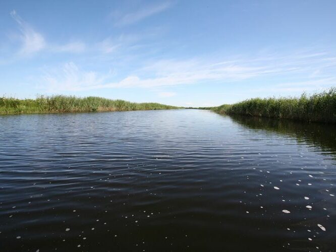 Maakond: Viljandimaa Veekogu nimi: Õhne jõgi Pildistamise aeg: 26. juuli 2008 Pildistaja: H. Timm Pildistamise koht: ca 1 km suudmest Asimuut: