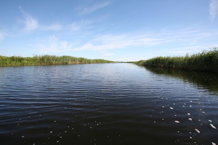 Maakond: Viljandimaa Veekogu nimi: Õhne jõgi Pildistamise aeg: 26. juuli 2008 Pildistaja: H. Timm Pildistamise koht: ca 1 km suudmest Asimuut: