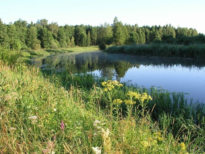 Maakond: Viljandimaa Veekogu nimi: Õhne jõgi Pildistamise aeg: 26. juuli 2008 Pildistaja: H. Timm Pildistamise koht: alamjooks Asimuut: