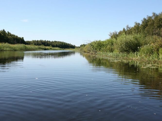 Maakond: Viljandimaa Veekogu nimi: Õhne jõgi Pildistamise aeg: 26. juuli 2008 Pildistaja: H. Timm Pildistamise koht: ca 2 km suudmest vv Asimuut: