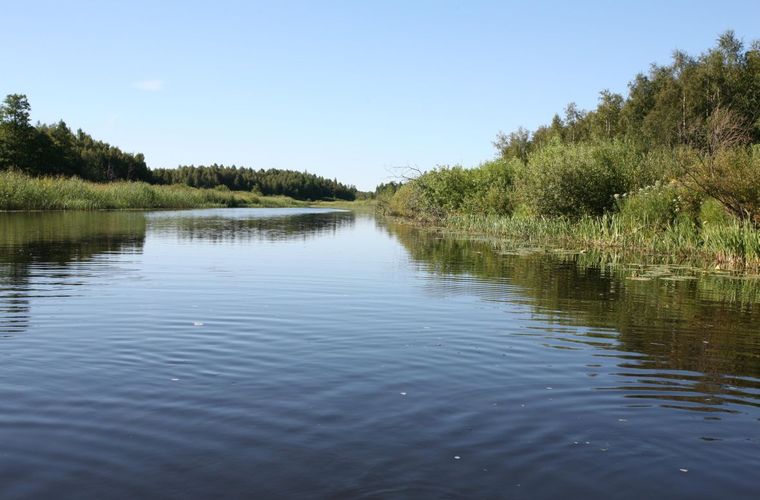 Maakond: Viljandimaa Veekogu nimi: Õhne jõgi Pildistamise aeg: 26. juuli 2008 Pildistaja: H. Timm Pildistamise koht: ca 2 km suudmest vv Asimuut: