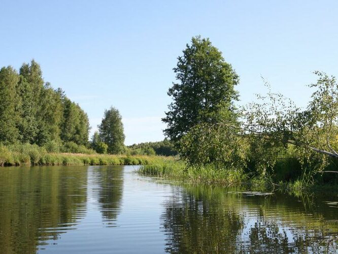 Maakond: Viljandimaa Veekogu nimi: Õhne jõgi Pildistamise aeg: 26. juuli 2008 Pildistaja: H. Timm Pildistamise koht: ca 2 km suudmest pv Asimuut: