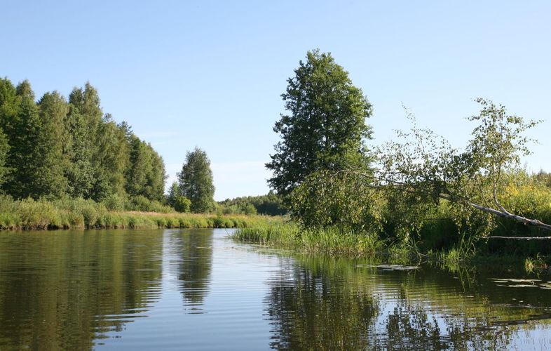 Maakond: Viljandimaa Veekogu nimi: Õhne jõgi Pildistamise aeg: 26. juuli 2008 Pildistaja: H. Timm Pildistamise koht: ca 2 km suudmest pv Asimuut: