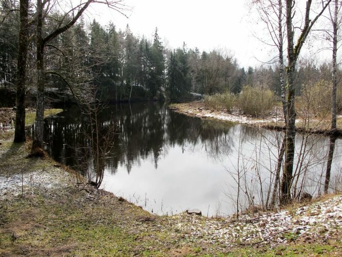 Maakond: Valgamaa Veekogu nimi: Õhne jõgi Pildistamise aeg: 24. aprill 2010 Pildistaja: H. Timm Pildistamise koht: Tõrva paisjärv Asimuut: