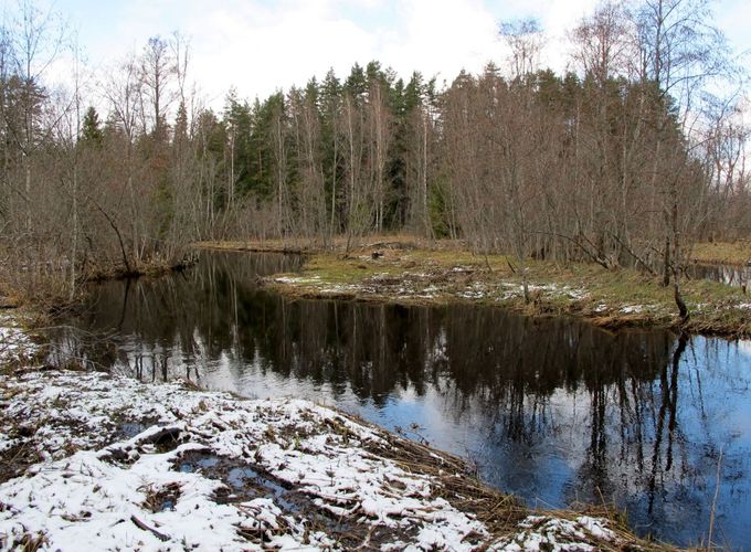 Maakond: Valgamaa Veekogu nimi: Õhne jõgi Pildistamise aeg: 24. aprill 2010 Pildistaja: H. Timm Pildistamise koht: Ala ja Taagepera vahel Asimuut: