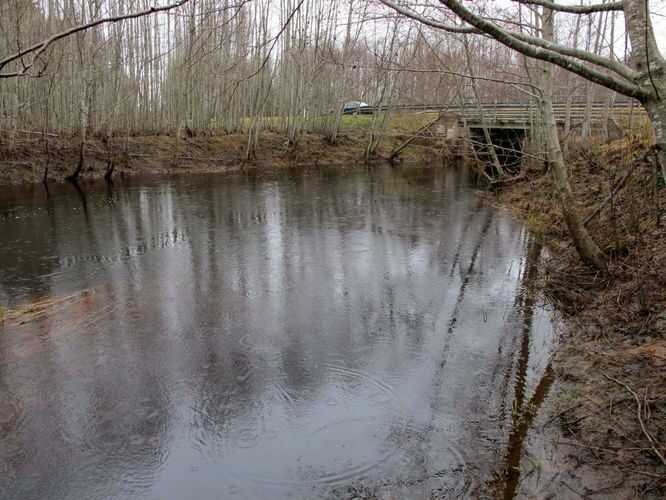 Maakond: Valgamaa Veekogu nimi: Õhne jõgi Pildistamise aeg: 24. aprill 2010 Pildistaja: H. Timm Pildistamise koht: Roobe Asimuut: