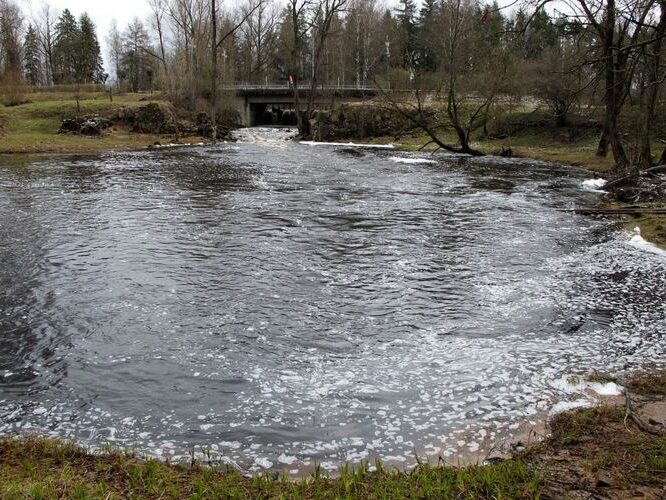 Maakond: Valgamaa Veekogu nimi: Õhne jõgi Pildistamise aeg: 24. aprill 2010 Pildistaja: H. Timm Pildistamise koht: Tõrva paisu all Asimuut: