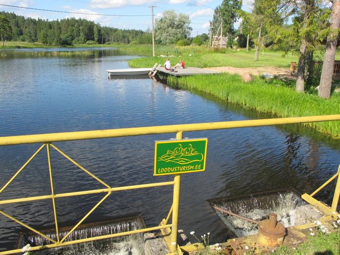 Maakond: Valgamaa Veekogu nimi: Õhne jõgi Pildistamise aeg: august 2011 Pildistaja: H. Timm Pildistamise koht: Taagepera paisjärv Asimuut: