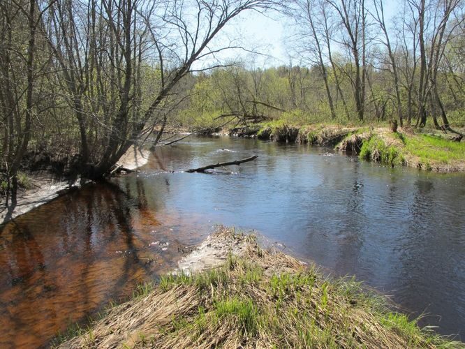 Maakond: Valgamaa Veekogu nimi: Õhne jõgi Pildistamise aeg: 2. mai 2012 Pildistaja: H. Timm Pildistamise koht: Roobe Asimuut: