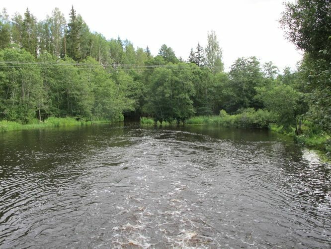 Maakond: Valgamaa Veekogu nimi: Õhne jõgi Pildistamise aeg: 17. juuli 2012 Pildistaja: H. Timm Pildistamise koht: pais Lasajärve - Eera teel Asimuut: