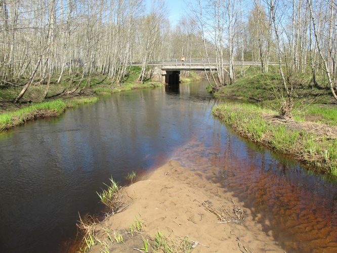 Maakond: Valgamaa Veekogu nimi: Õhne jõgi Pildistamise aeg: 2. mai 2012 Pildistaja: H. Timm Pildistamise koht: Roobe Asimuut: