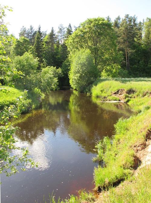 Maakond: Valgamaa Veekogu nimi: Õhne jõgi Pildistamise aeg: 9. juuni 2012 Pildistaja: H. Timm Pildistamise koht: Tõrva Asimuut: